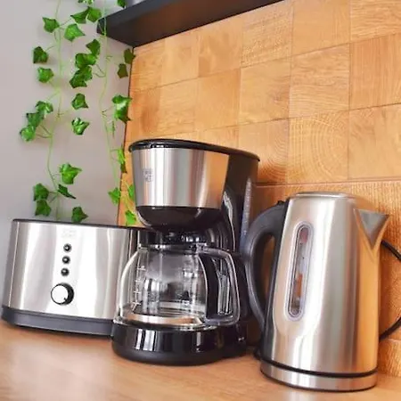 Mysa Modern * Near Cismigiu Park * Netflix Apartment