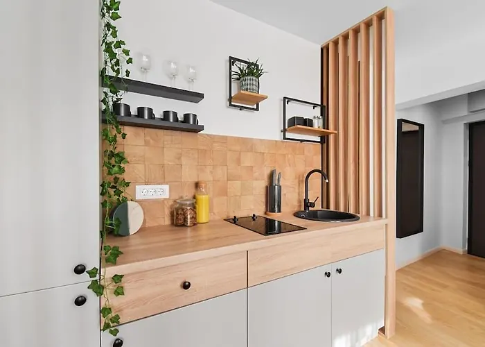 Mysa Modern * Near Cismigiu Park * Netflix