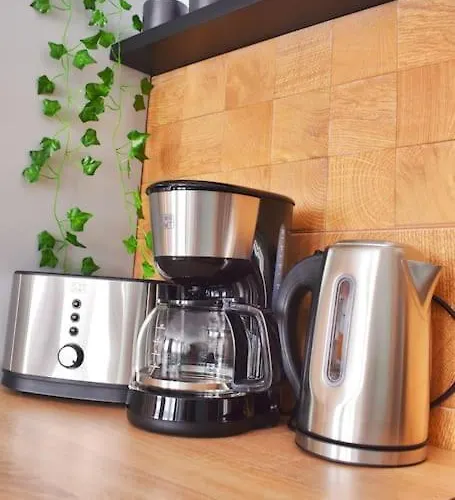 Mysa Modern * Near Cismigiu Park * Netflix Apartament